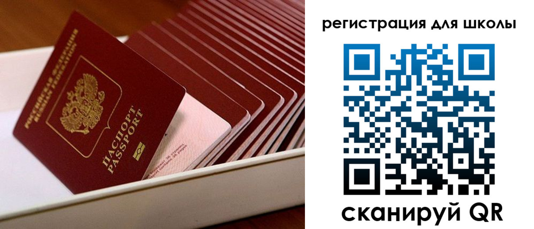 прописка гарантия в Нерчинске